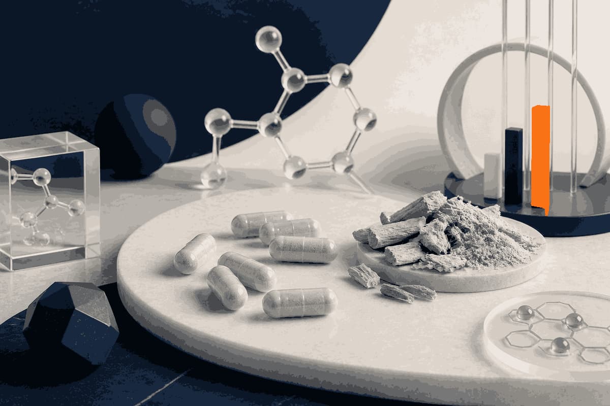 Unbranded pale capsules beside botanical root and a molecular lattice on cream and deep navy surfaces with one bright LongevityMate orange accent