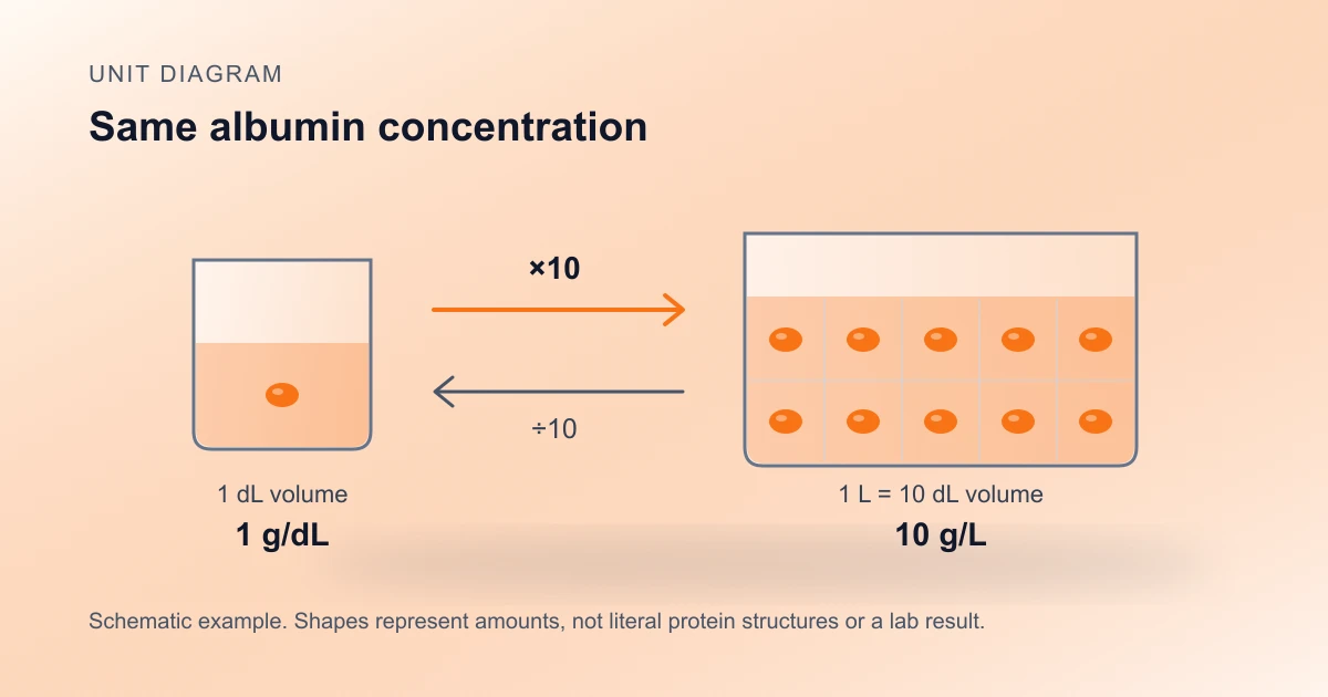Albumin unit diagram: one gram per decilitre equals ten grams per litre, with ten schematic amount symbols and reciprocal multiply-by-ten and divide-by-ten arrows.